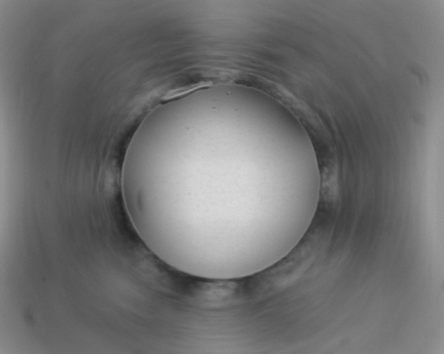 X0000114020474200910161801