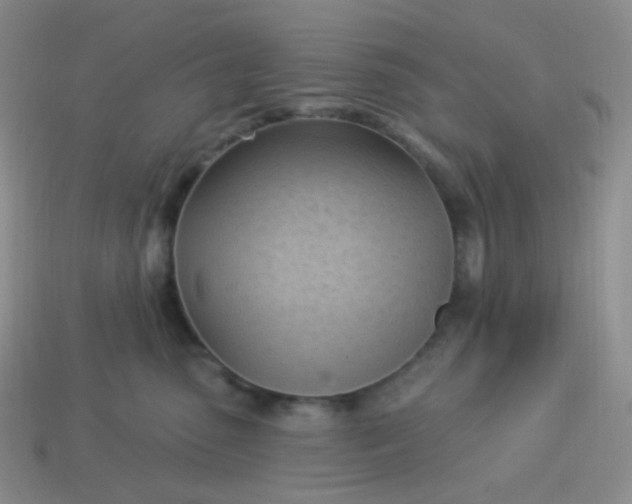 X0000114020475200910161801