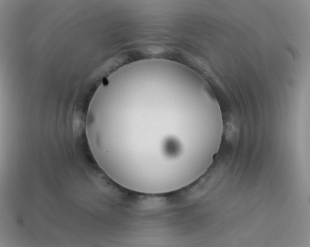 X0000114020476200910161801