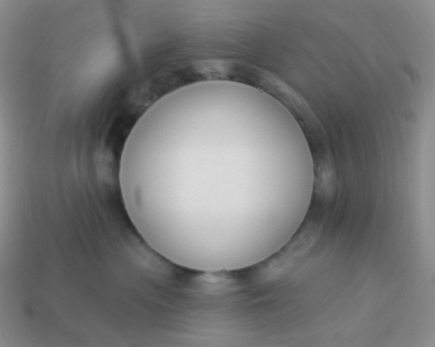 X0000114020477200910161801