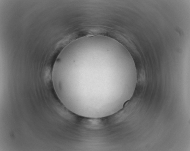 X0000114020478200910161801