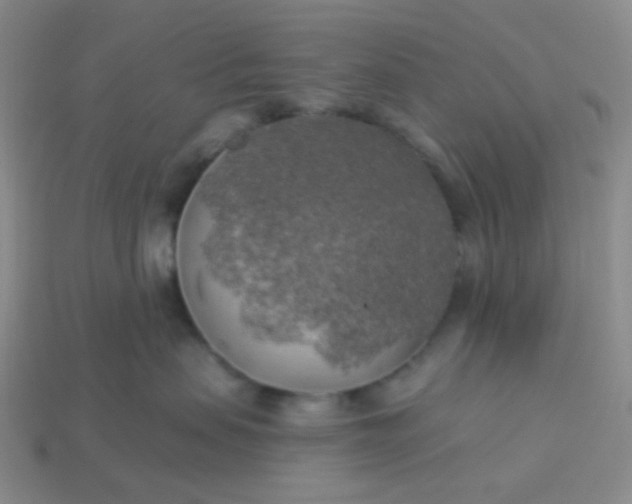 X0000114020479200910161801