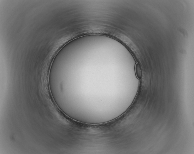 X0000114020481200910161800