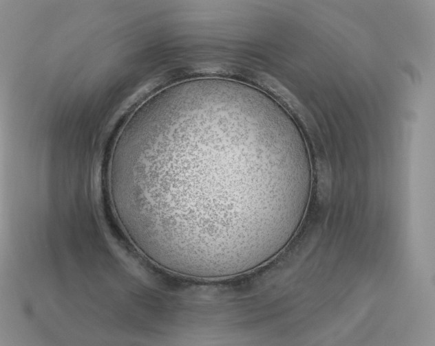 X0000114020482200910161800