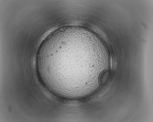 X0000114020483200910161800