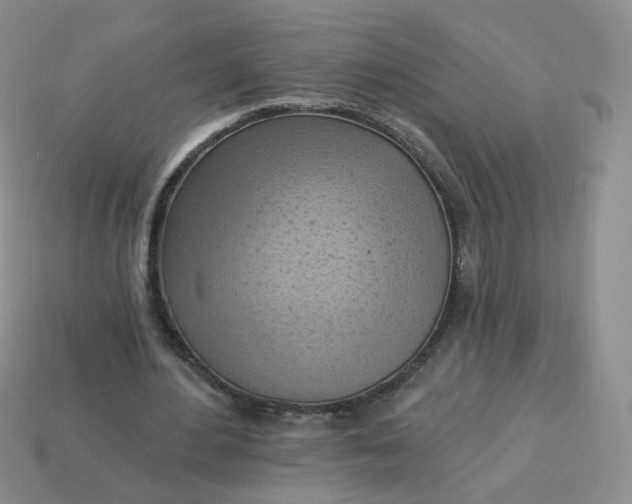 X0000114020484200910161800