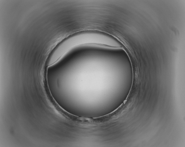 X0000114020485200910161800