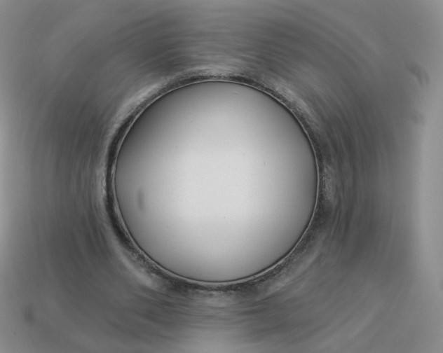 X0000114020486200910161800