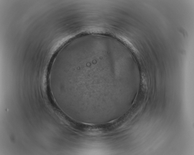 X0000114020487200910161800