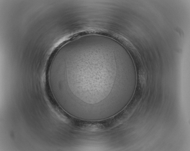 X0000114020488200910161800