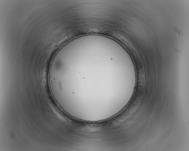 X0000114020489200910161800