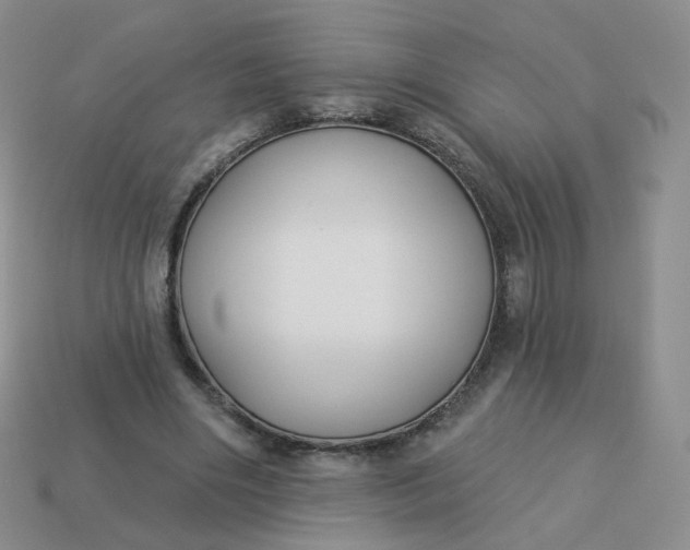 X0000114020490200910161800