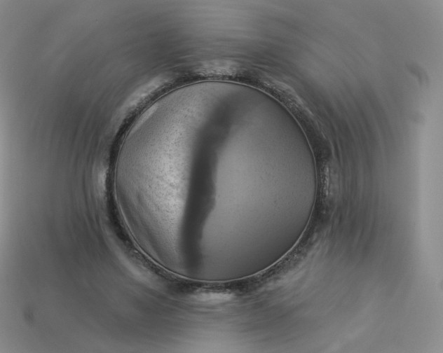 X0000114020491200910161800