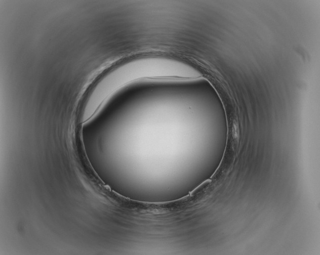 X0000114020492200910161800