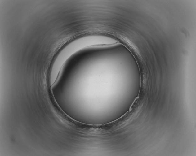 X0000114020493200910161800