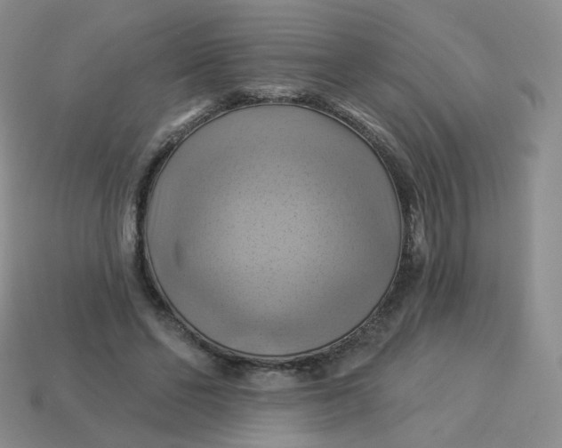 X0000114020494200910161800