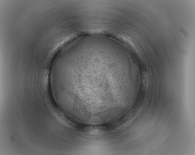 X0000114020495200910161800