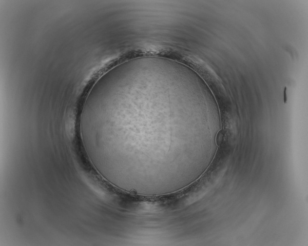 X0000114020496200910161800