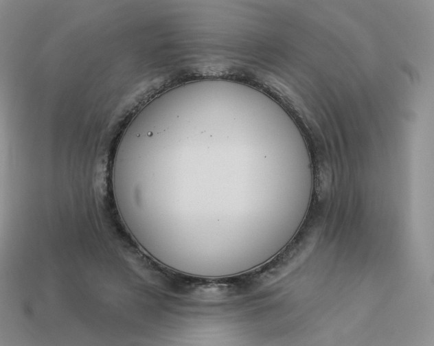 X0000114020497200910161800