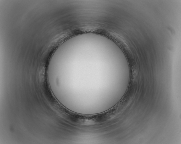 X0000114020498200910161800