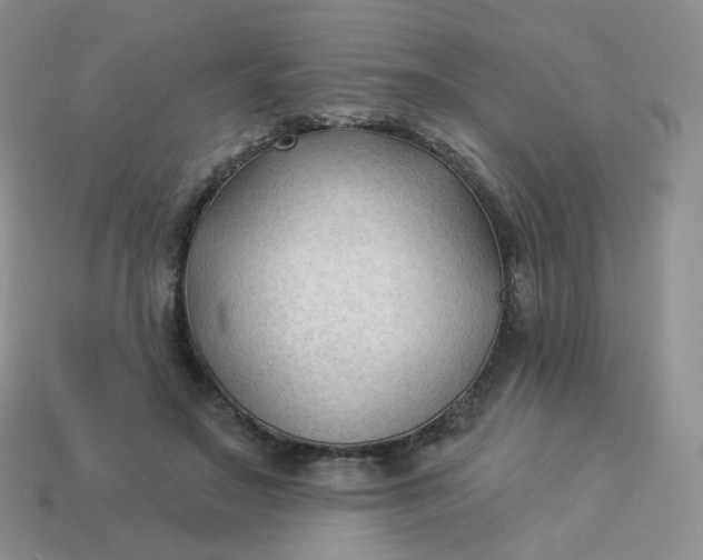 X0000114020499200910161800