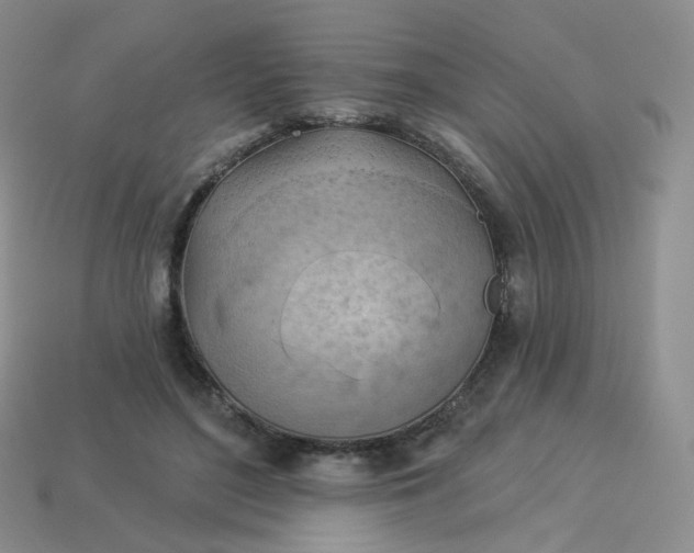 X0000114020500200910161800