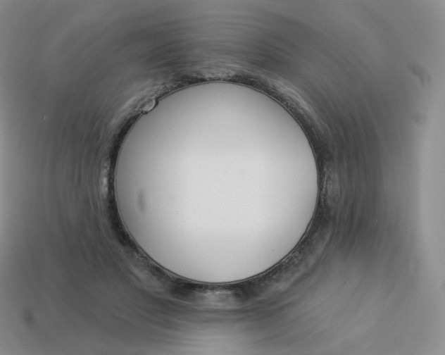 X0000114020501200910161800