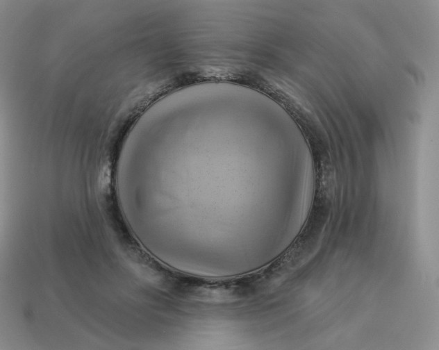 X0000114020502200910161800