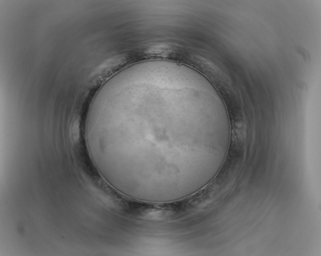 X0000114020504200910161800