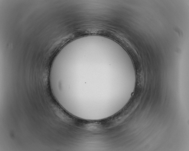 X0000114020505200910161800