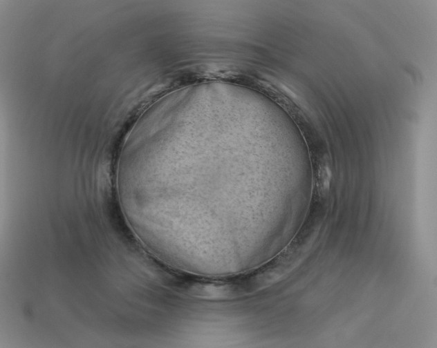 X0000114020506200910161800