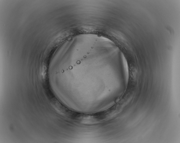 X0000114020507200910161759