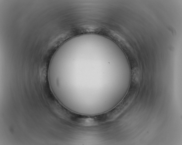 X0000114020509200910161759