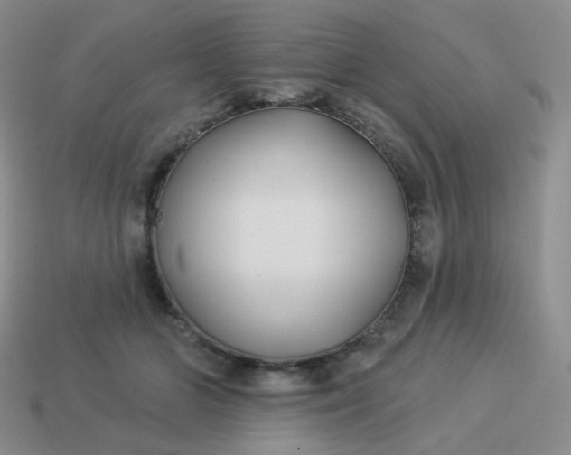 X0000114020510200910161759