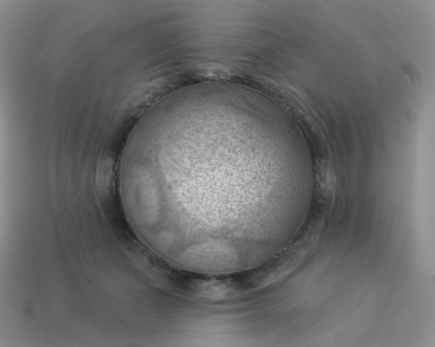 X0000114020511200910161759