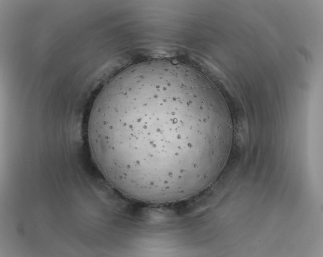 X0000114020512200910161759