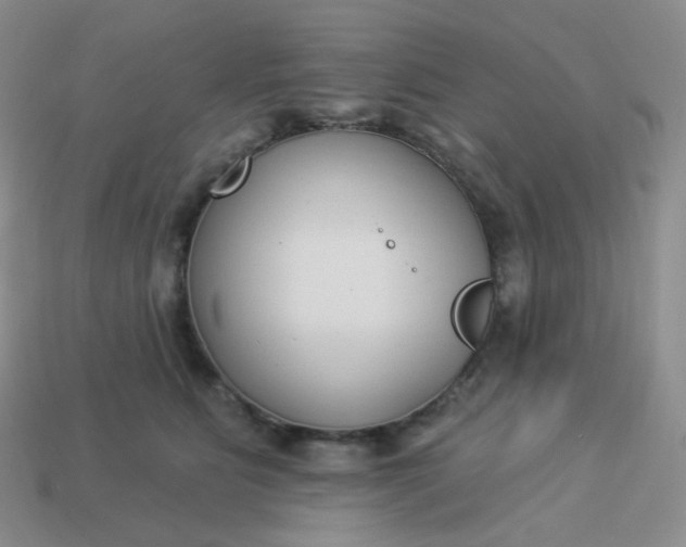 X0000114020515200910161759