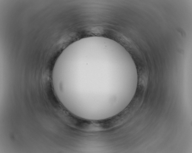 X0000114020518200910161759