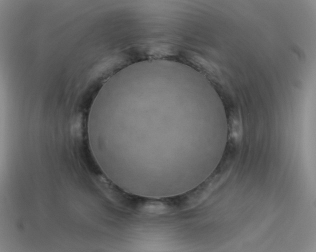 X0000114020519200910161759