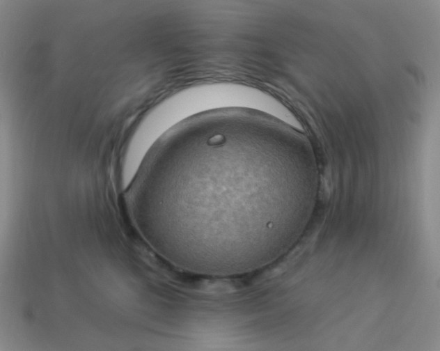 X0000114020520200910161759