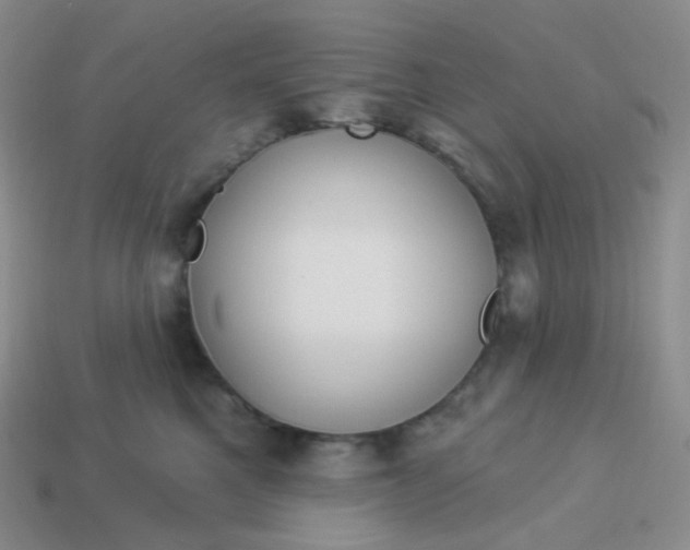 X0000114020521200910161759