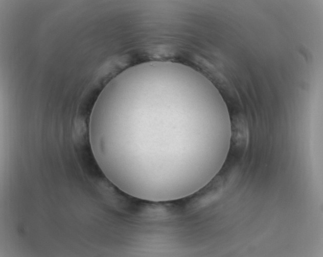 X0000114020523200910161759