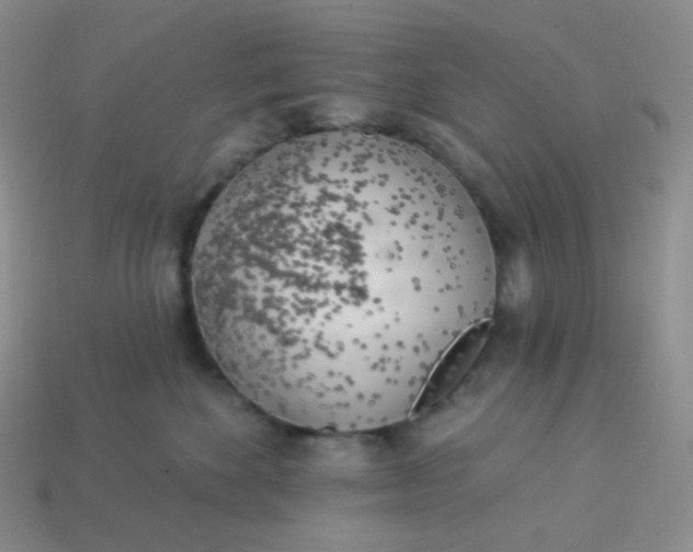 X0000114020524200910161759