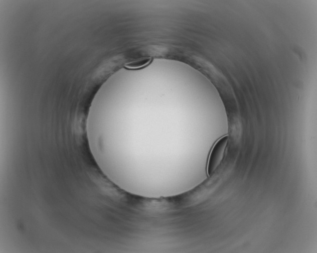 X0000114020525200910161759