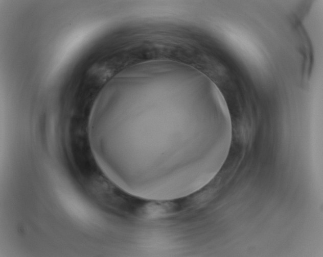 X0000114020526200910161759