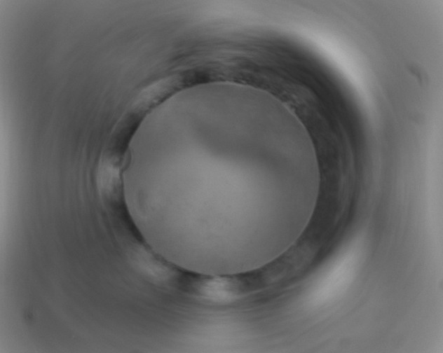 X0000114020527200910161759