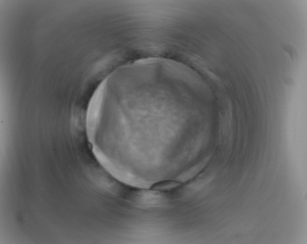 X0000114020528200910161759