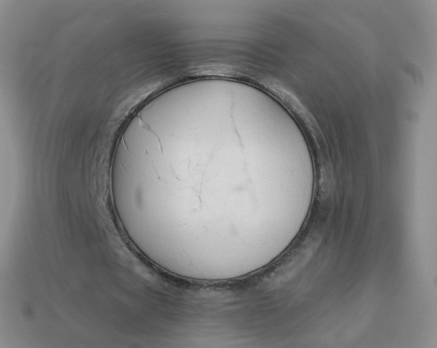 X0000114020529200910161758