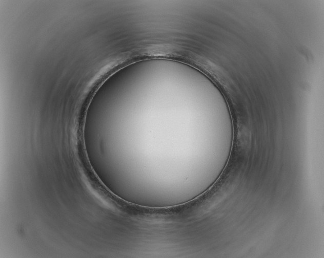 X0000114020530200910161759