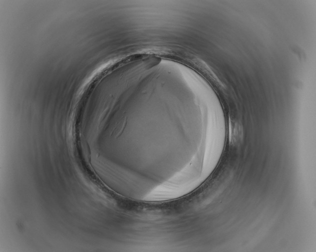 X0000114020531200910161759